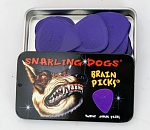 :Snarling Dogs TNSDB351-60 Brain Picks  12, 0.60